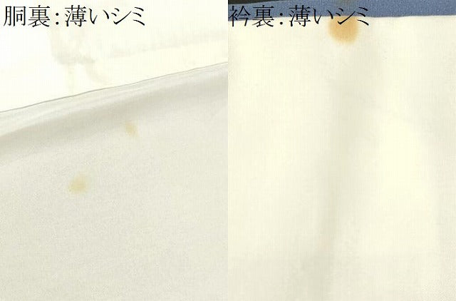平和屋着物■訪問着 寿光織 草花文 金彩 正絹 逸品 CABK3762ev