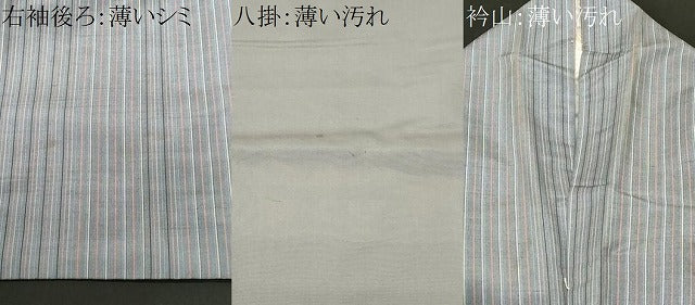 平和屋着物■上質な紬 縞 正絹 逸品 CABK3834ev