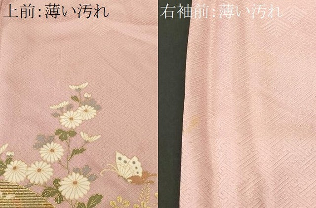 平和屋着物■訪問着 地紙花鳥文 暈し染め 金彩 正絹 逸品 CABK3866ev