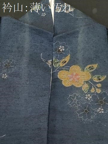 平和屋着物■上質な紬 舞花文 正絹 逸品 CABK4026ev