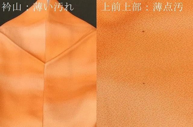 平和屋着物■上質な小紋 霞文 暈し染め 正絹 逸品 CABK4301ev