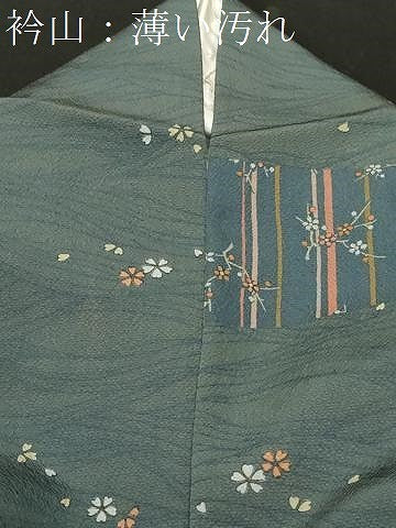 平和屋着物■訪問着 千鳥枝花文 鬼しぼ縮緬 正絹 逸品 CABK4377ev