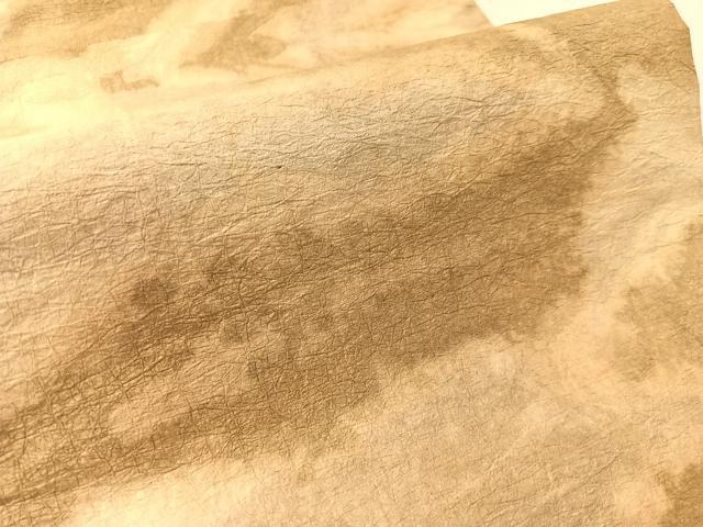 平和屋着物●坂本宗一郎 加賀 二俣和紙 九寸開き名古屋帯 冬の白樺林 逸品 CABK4688vp
