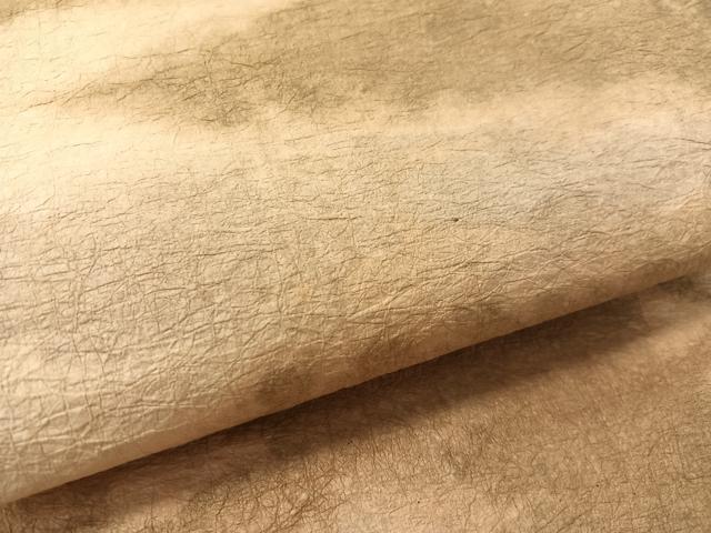 平和屋着物●坂本宗一郎 加賀 二俣和紙 九寸開き名古屋帯 冬の白樺林 逸品 CABK4688vp