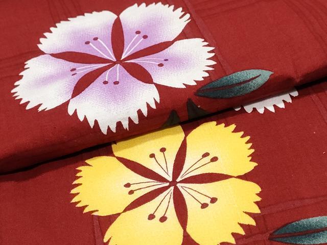 平和屋着物∴夏物 浴衣 撫子 綿 逸品 CABK5207ng