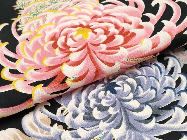 平和屋着物∴夏物 撫松庵 浴衣 乱菊 黒地 綿 逸品 CABK5214ng