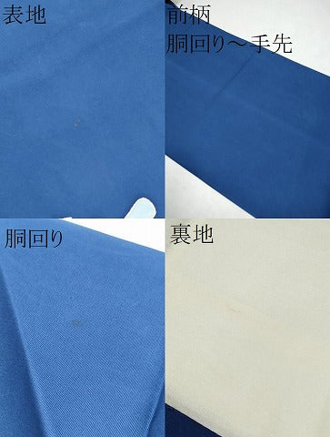 平和屋着物●塩瀬 九寸名古屋帯 魚 銀彩 正絹 逸品 CABK5621hy