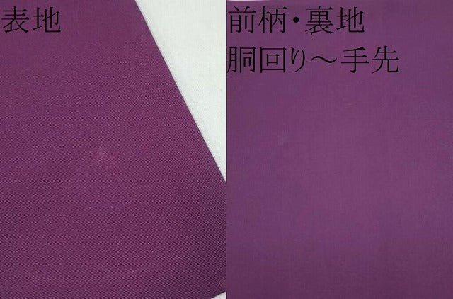 平和屋着物●塩瀬 九寸名古屋帯 枝葉文 金彩 正絹 逸品 CABK5939hy