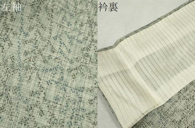 平和屋着物*夏物 紗紬 草木文 正絹 逸品 CABK6746ze