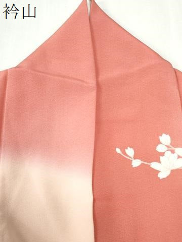 平和屋着物●訪問着 流水扇面冊子鶴草花文 暈し染め 金彩 正絹 逸品 CABK7394yc