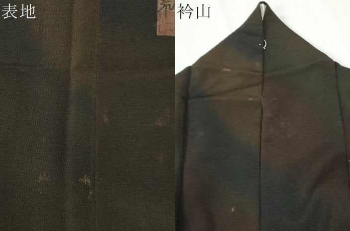 平和屋着物●前田仁仙 仁仙更紗 小紋 仁仙花布 草木染 霞文 暈し染め 鬼しぼ縮緬 証紙付き 正絹 逸品 CABK7428yc