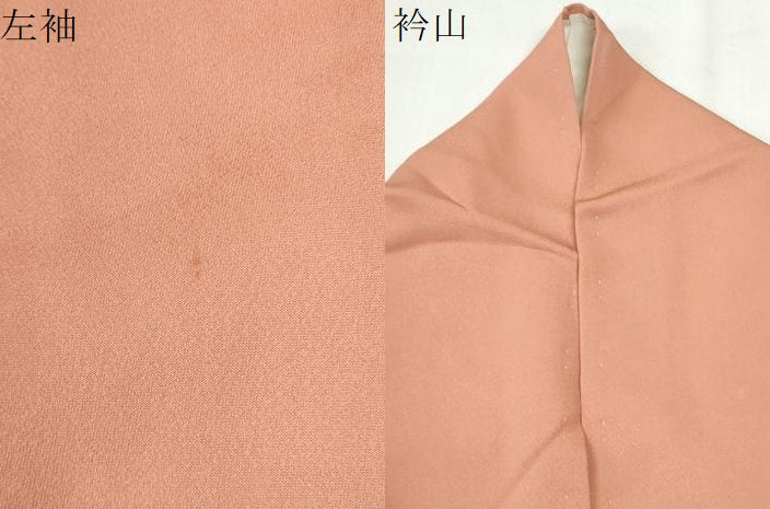 平和屋着物●訪問着 刺繍 草花文 暈し染め ロング丈 正絹 逸品 CABK7587yc