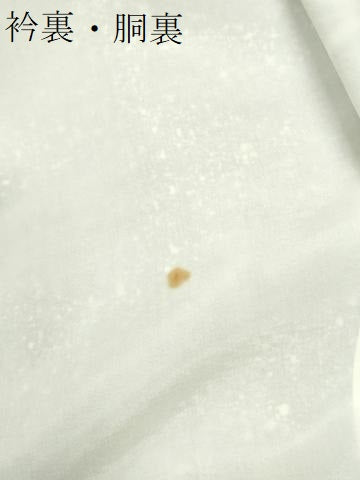 平和屋着物●訪問着 菊花文 たたき染め 金彩 正絹 逸品 CABK7687yc