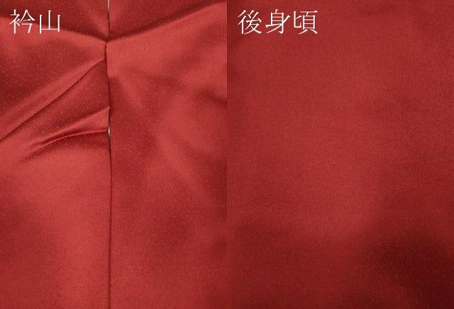 平和屋着物●訪問着 作家物 枝花文 暈し染め 金彩 正絹 逸品 CABK8112ut