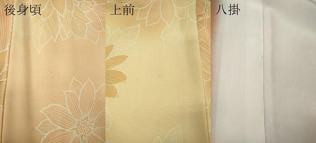 平和屋着物●上質な小紋 枝花文 暈し染め 正絹 逸品 CABK8157ut