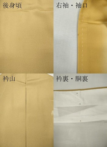 平和屋着物●訪問着 刺繍 葡萄蔦の葉文 暈し染め 金彩 正絹 逸品 CABK8317ut