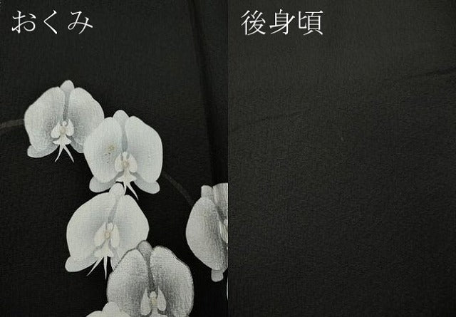 平和屋着物●日本舞踊家 岩井流宗元 岩井友見 訪問着 駒刺繍 胡蝶蘭 黒地 正絹 逸品 CABK8342ut