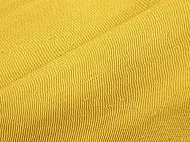 平和屋着物●八寸名古屋帯 紬地 黄金色 名古屋仕立て 正絹 逸品 CABK8644dy