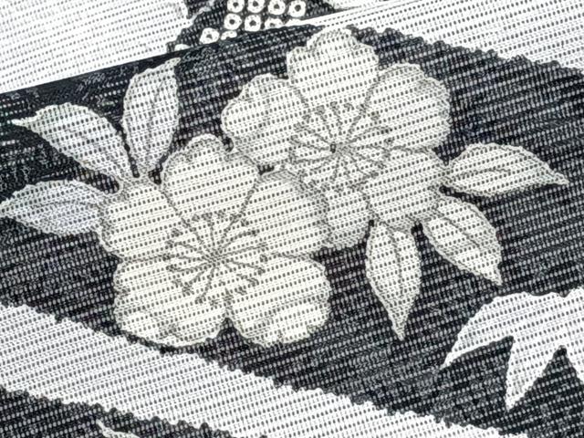 平和屋着物*夏物 訪問着 絽 鬘帯草花文 洗える着物 CABK8887xi