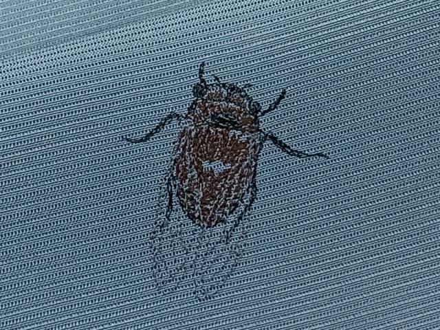平和屋着物*夏物 小紋 絽 総刺繍 セミ 正絹 逸品 CABK8962xi