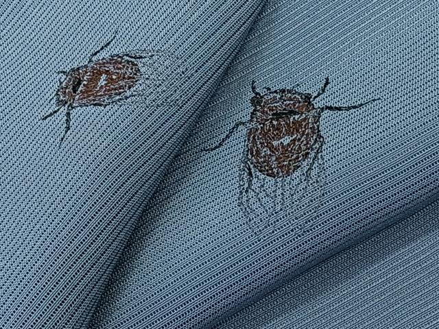 平和屋着物*夏物 小紋 絽 総刺繍 セミ 正絹 逸品 CABK8962xi