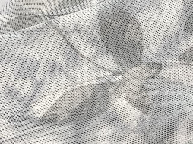 平和屋着物*夏物 小紋 絽 舞蝶文 正絹 逸品 CABK8979xi