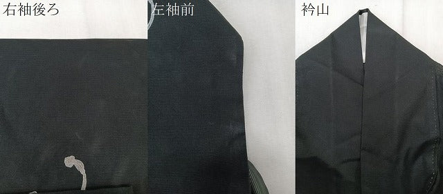 平和屋着物*夏物 訪問着 絽 絵巻花文 黒地 洗える着物 CABK9005xi