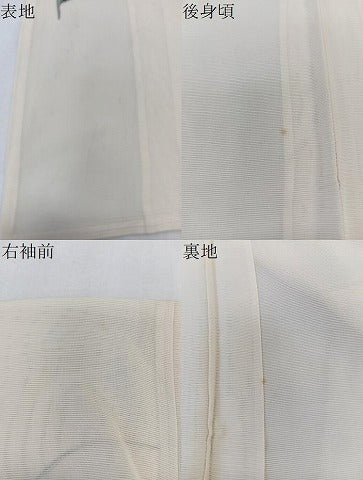 平和屋着物*夏物 訪問着 絽 手描き 草花文 正絹 逸品 CABK9066xi