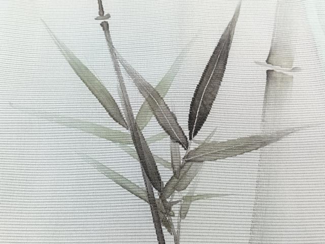 平和屋着物*夏物 訪問着 絽 手描き 笹竹文 銀彩 洗える着物 CABK9129xi