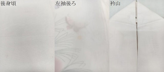 平和屋着物*夏物 訪問着 絽 舞蝶文 金彩 洗える着物 CABK9184xi