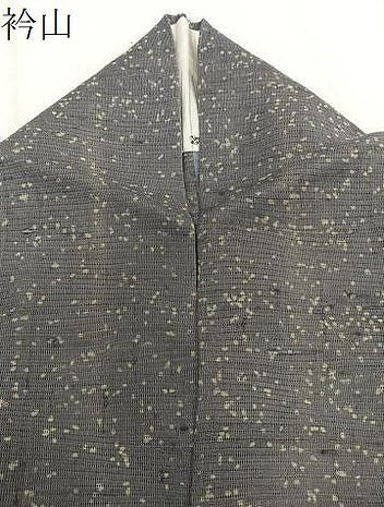 平和屋着物*夏物 小紋 絽紬 霞文 正絹 逸品 CABK9197xi