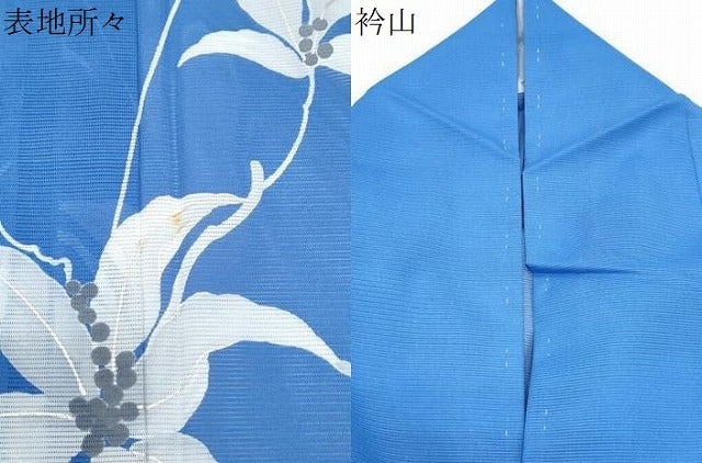 平和屋着物*夏物 訪問着 絽 草花文 銀彩 洗える着物 CABK9224th
