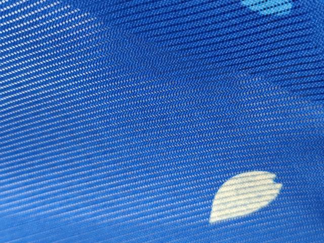 平和屋着物*夏物 訪問着 絽 籬舞花びら 洗える着物 CABK9258th