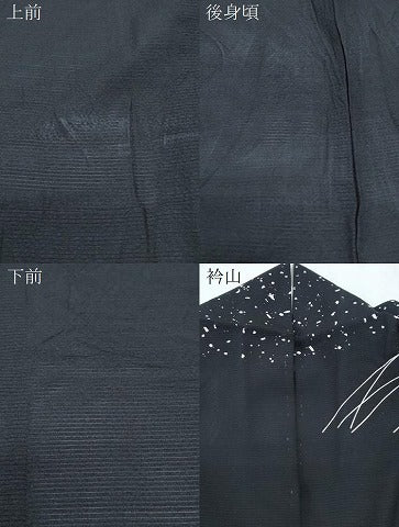 平和屋着物*夏物 訪問着 絽 駒刺繍 草葉文 黒地 金彩 正絹 逸品 CABK9328th