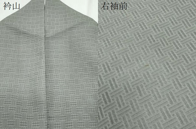平和屋着物*夏物 訪問着 籬紋紗 草花文 銀彩 正絹 逸品 CABK9381th