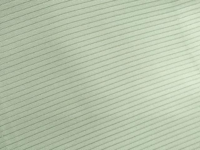 平和屋着物*夏物 色無地 絽 若葉色 正絹 逸品 CABK9401th