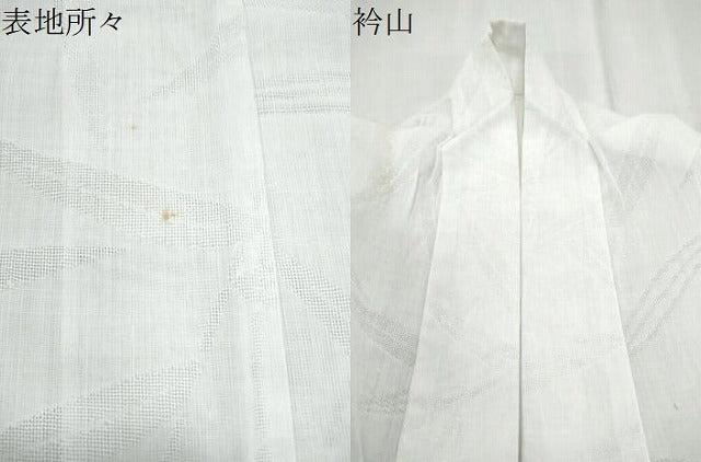 平和屋着物*夏物 長襦袢 笹紋紗 胡粉色 CABK9438th