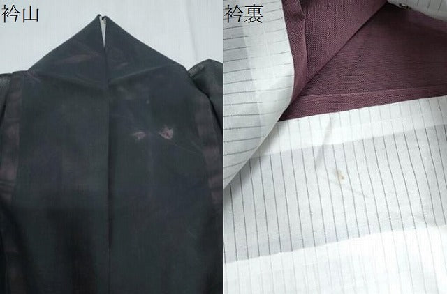 平和屋着物*夏物 小紋 紗 枝葉文 黒地 正絹 逸品 CABK9452th