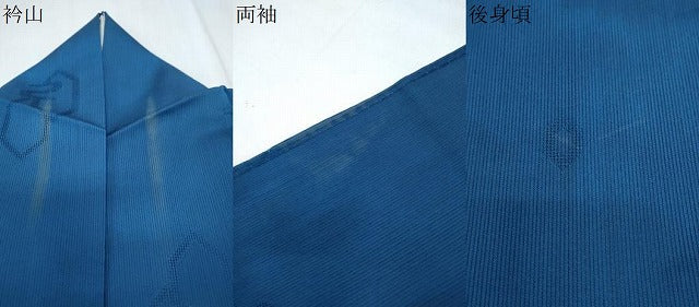 平和屋着物*夏物 小紋 亀甲重ね紋紗 暈し染め 正絹 逸品 CABK9572th
