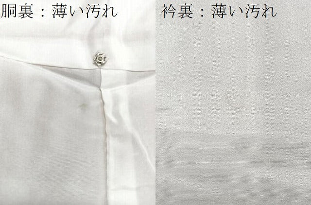 平和屋着物■上質な紬 間道 正絹 逸品 CABK9610xe