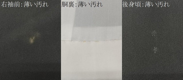 平和屋着物■豪華黒留袖 片輪車立波文 金彩 正絹 逸品 CABK9817xe