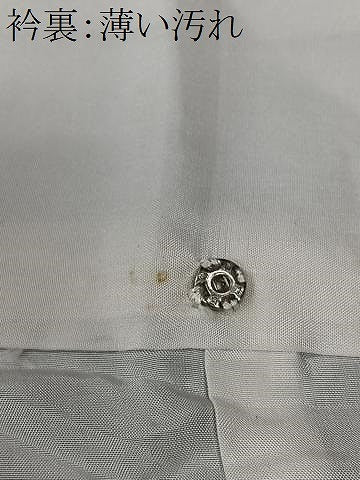 平和屋着物■訪問着 紬地 縞 正絹 逸品 CABK9883xe