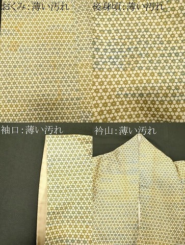 平和屋着物■本場染大島紬 吉祥花文 正絹 逸品 CABL0518oy
