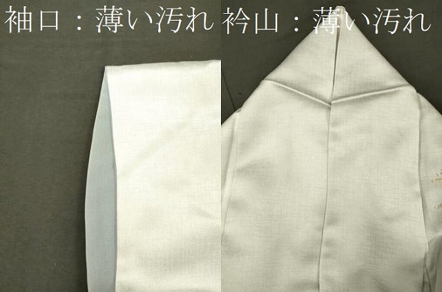 平和屋着物■訪問着 手描き 風景草木文 暈し染め 金銀彩 正絹 逸品 CABL0614oy