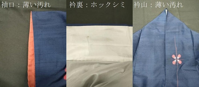 平和屋着物■上質な紬 舞花文 正絹 逸品 CABL0691oy