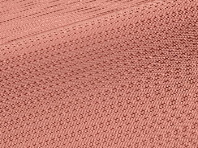 平和屋着物*夏物 色無地 変わり絽 真赭色 正絹 逸品 CABL1201tx