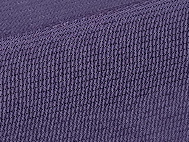 平和屋着物*夏物 色無地 絽 深紫色 正絹 逸品 CABL1228tx