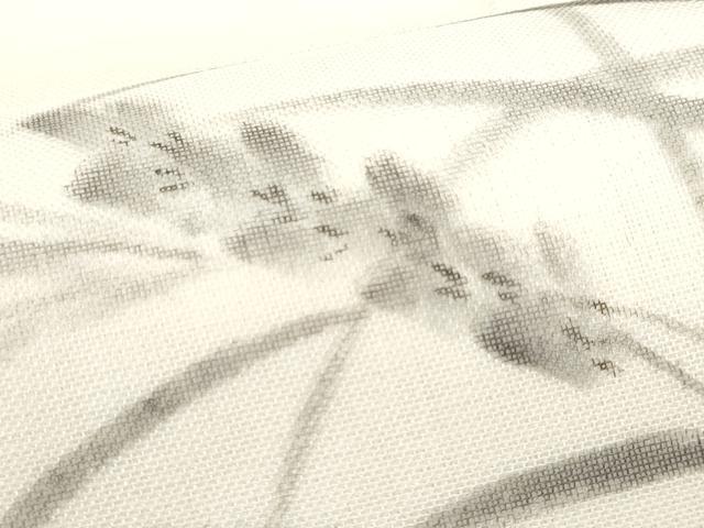 平和屋着物*夏物 九寸名古屋帯 作家物 手描き トンボ 正絹 逸品 CABL2015fb