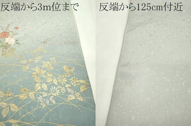 平和屋着物●付下げ 反物 刺繍 雪輪蔦の葉花文 暈し染め 金彩 着尺 逸品 未使用 CABL2632ju