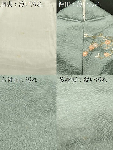 平和屋着物■訪問着 地紙風景枝花文 暈し染め 金彩 やまと誂製 正絹 逸品 CABL3242ev